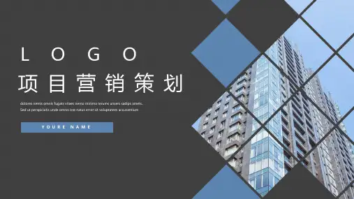 项目营销策划PPT模板
