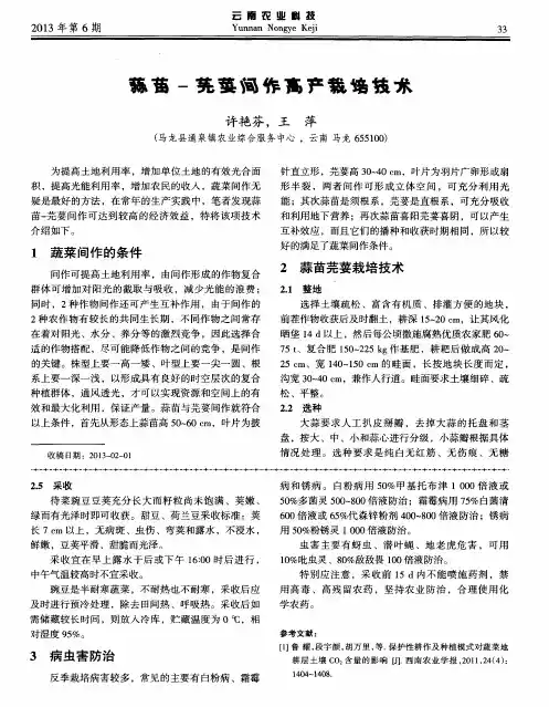 蒜苗-芫荽间作高产栽培技术