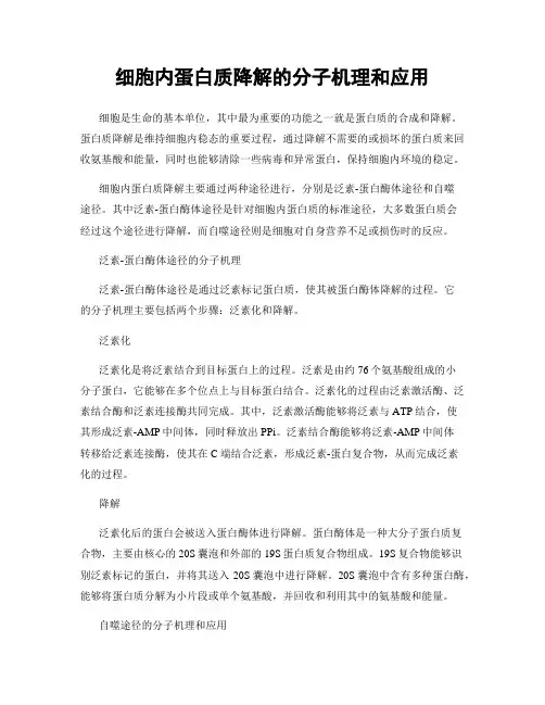 细胞内蛋白质降解的分子机理和应用