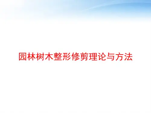 园林树木整形修剪理论与方法 ppt课件