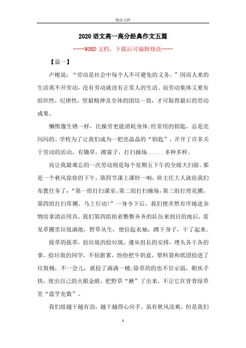 2020语文高一高分经典作文五篇