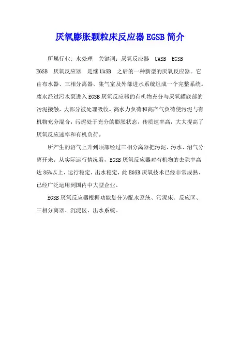 厌氧膨胀颗粒床反应器EGSB简介