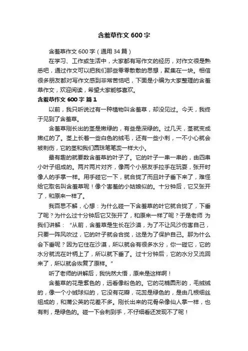 含羞草作文600字（通用34篇）
