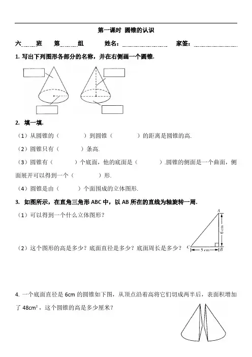 六年级下册数学试题-第一课时 圆锥的认识(无答案) 人教版