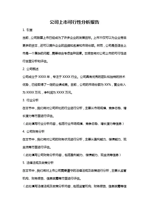 公司上市可行性分析报告