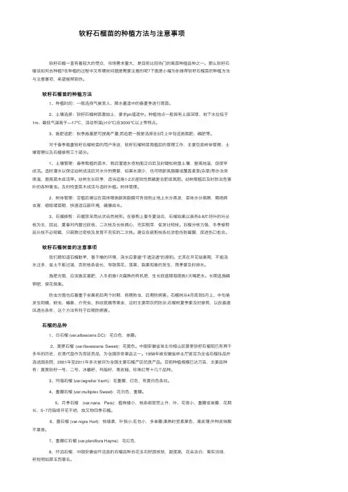 软籽石榴苗的种植方法与注意事项
