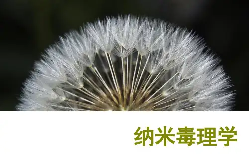 纳米毒理学