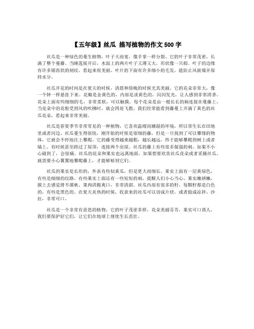 【五年级】丝瓜 描写植物的作文500字