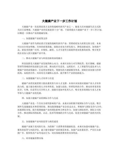 大健康产业下一步工作计划