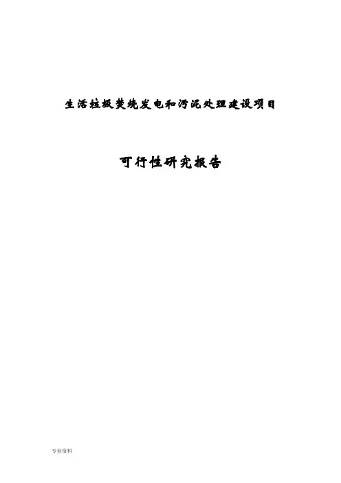 生活垃圾焚烧发电和污泥处理建设项目可行性研究报告