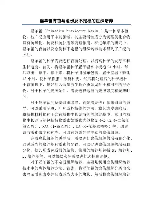 淫羊藿育苗与愈伤及不定根的组织培养