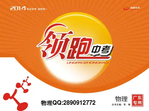 2014年《领跑中考.物理》广东专版  第十章 浮力