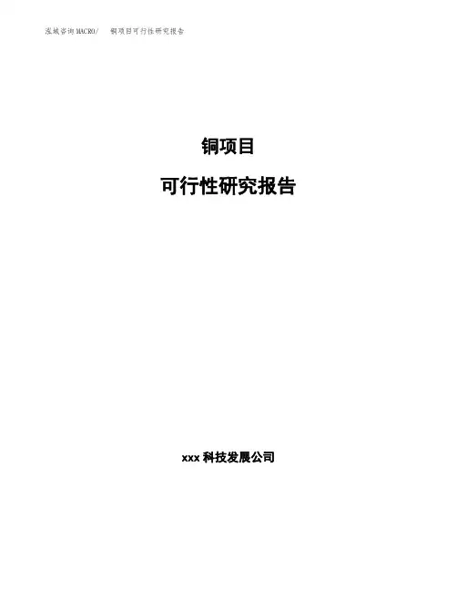 铜项目可行性研究报告(参考模板范文)