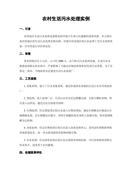 农村生活污水处理实例