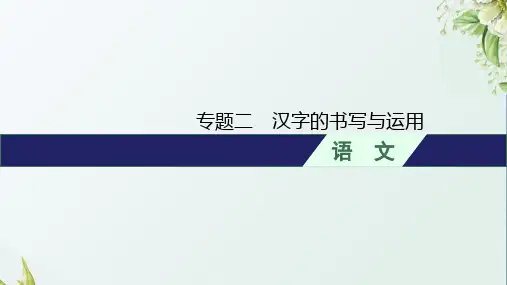 人教版初中语文总复习专题2汉字的书写与运用课件