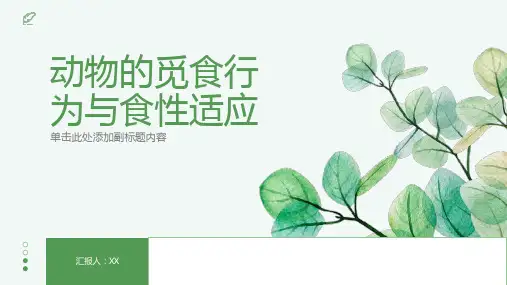 动物的觅食行为与食性适应