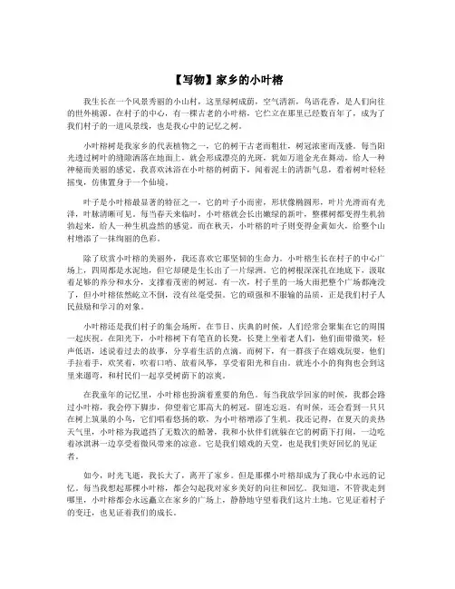 【写物】家乡的小叶榕