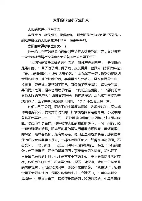 太阳的味道小学生作文