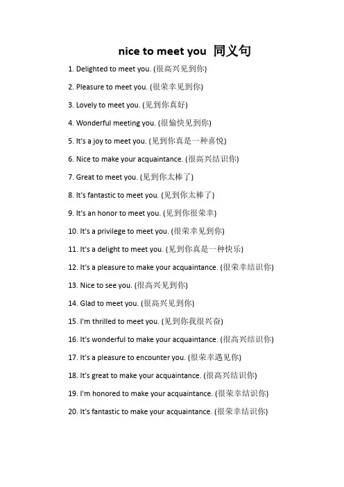 nice to meet you 同义句