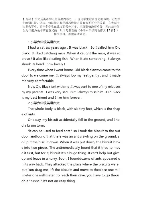 小学六年级英语作文【5篇】