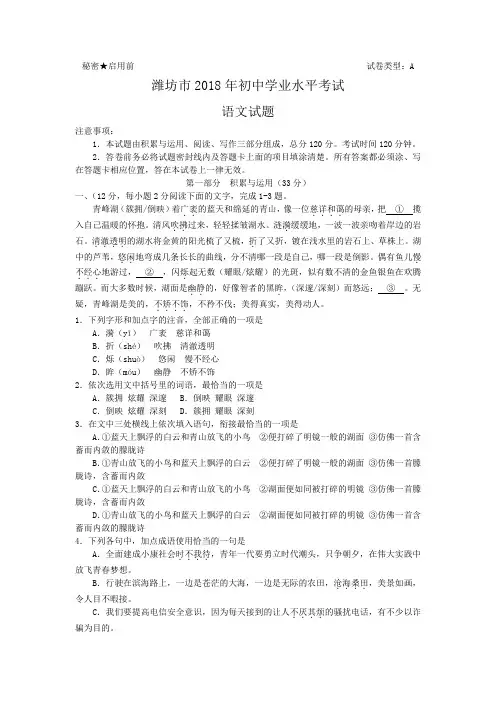 九年级下语文中考真题2018年山东省潍坊市中考语文试题(含答案)