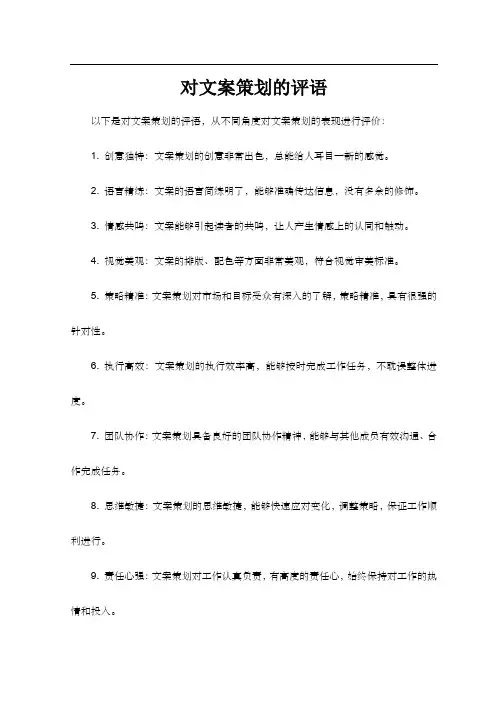 对文案策划的评语