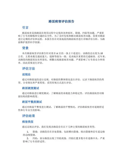 路面病害评估报告