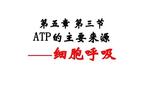 新人教版生物必修一5.3ATP的主要来源——细胞呼吸