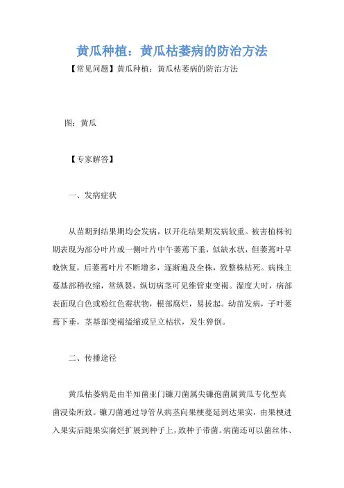 黄瓜种植：黄瓜枯萎病的防治方法