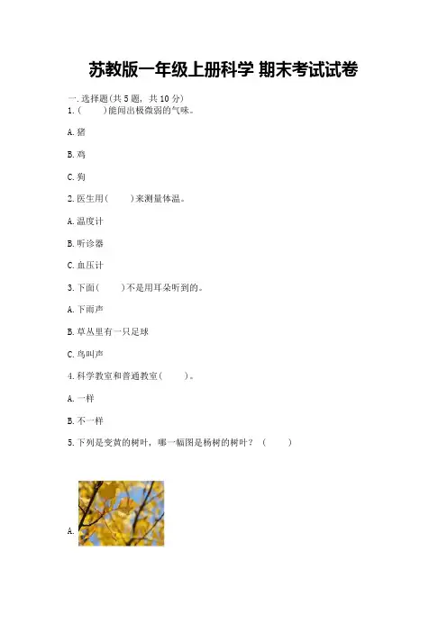 苏教版一年级上册科学-期末考试试卷及一套完整答案