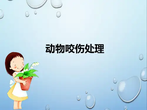 动物咬伤处理ppt课件