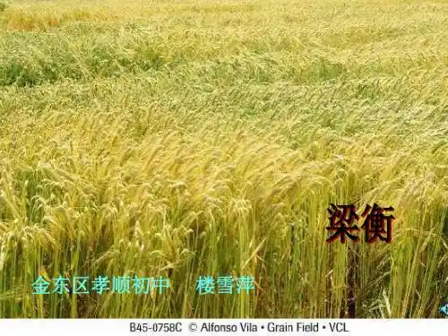 初中语文《夏感》(共36张)ppt67