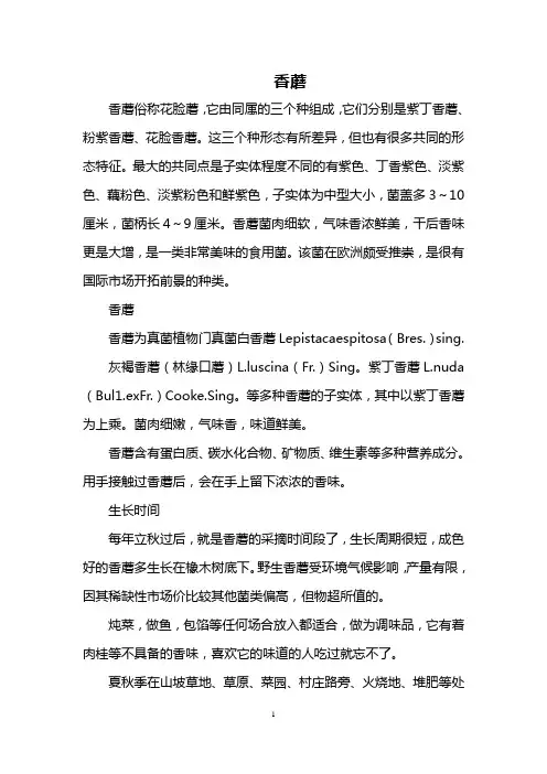 香蘑