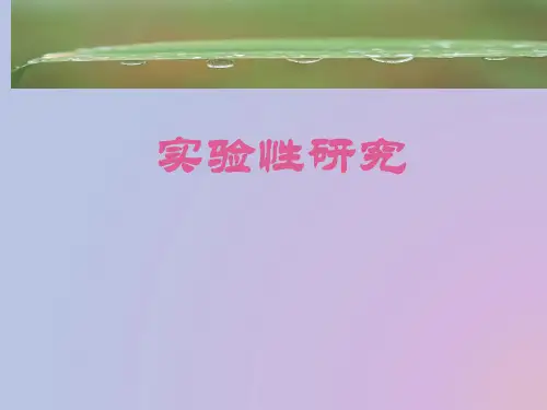 实验性研究