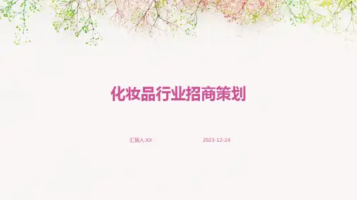 化妆品行业招商策划(2)