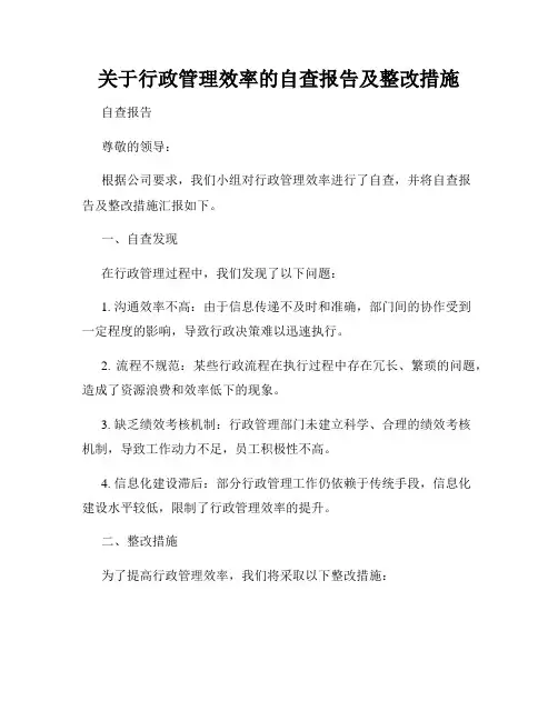 关于行政管理效率的自查报告及整改措施