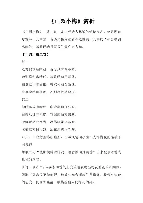 赏析山园小梅