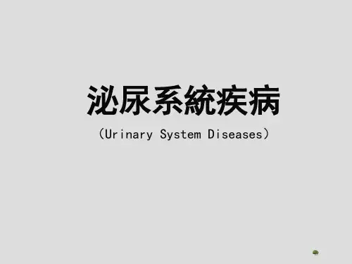 泌尿系统疾病总论
