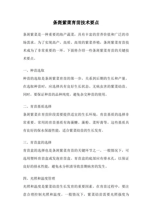条斑紫菜育苗技术要点