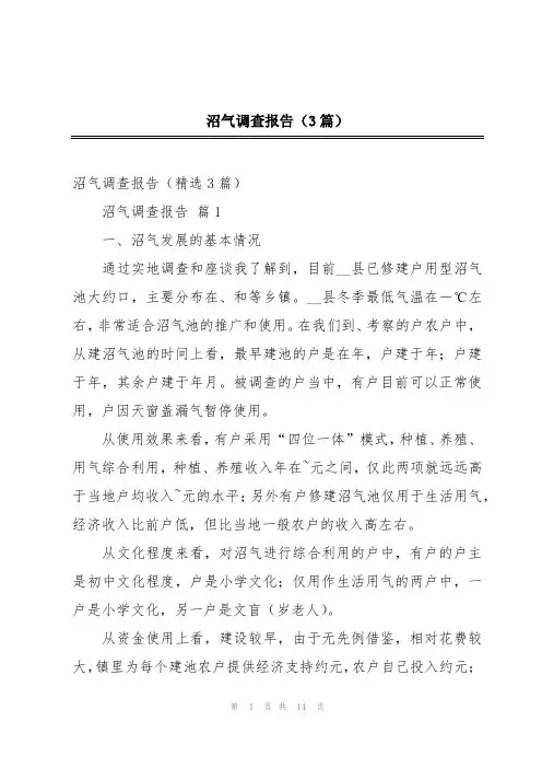 沼气调查报告(3篇)