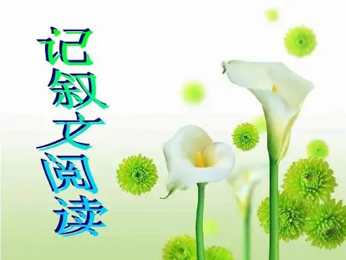 2012届中考语文记叙文阅读复习优秀PPT教学课件