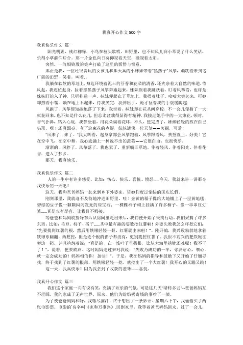 我真开心作文500字