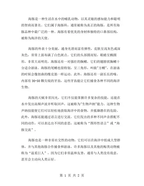 海豚的介绍作文范文