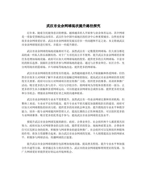 武汉市业余网球现状提升路径探究