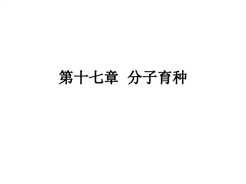 遗传育种学第十七章分子育种