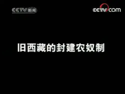 新人教版高中思想政治必修2《处理民族关系的原则：平等、团结、共同繁荣》精品课件-PPT课件