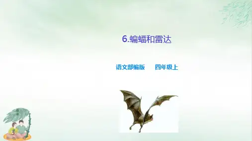 《蝙蝠和雷达》课件完美版(共36张PPT)