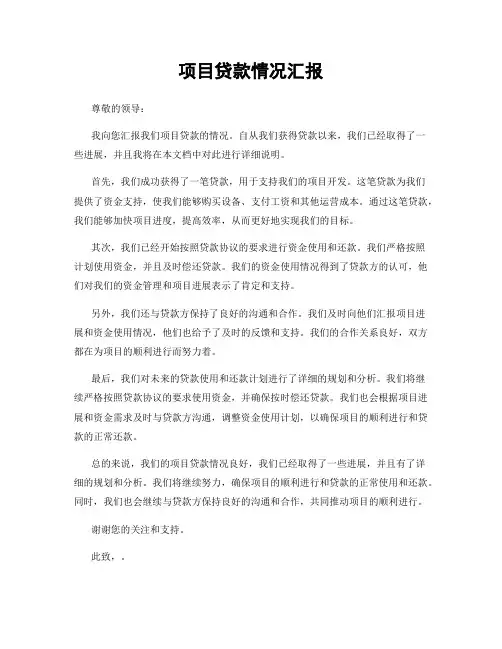 项目贷款情况汇报