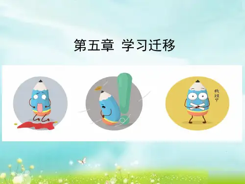 第五章 学习迁移