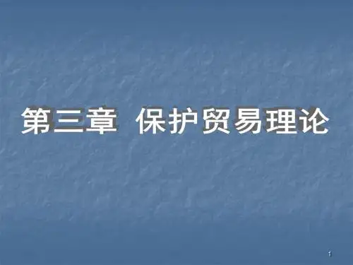 保护贸易理论ppt课件